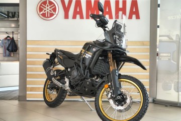 World Raid 700 | Dealer Katowice
